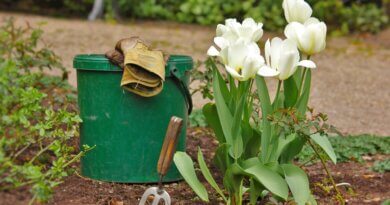 Weeding: Pull less, grow more