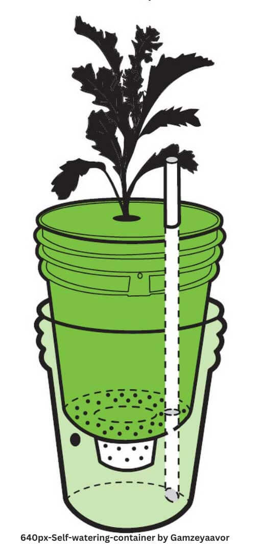 Drawing of a self-watering container.