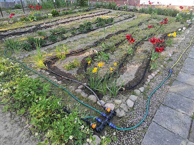 Soaker hoses throughout a garden.