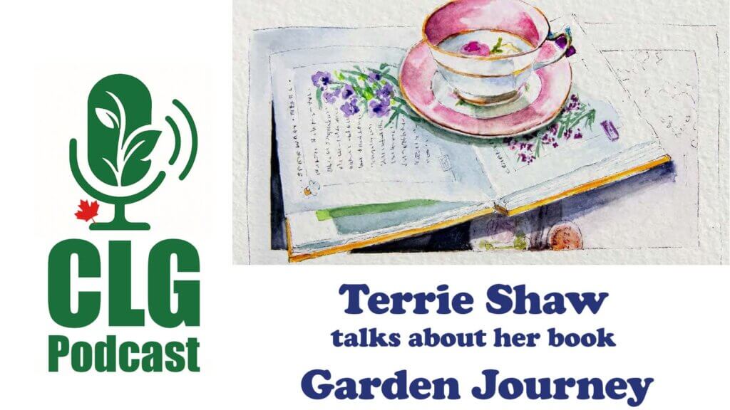 Terrie Shaw talks about title page