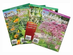 Fan of 4 copies of CLG