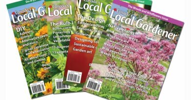 Fan of 4 copies of CLG