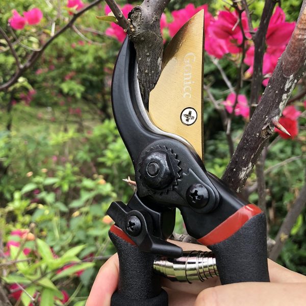 Amazon_Pruning Shears